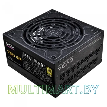 Блок питания EVGA GA 750 750W (220-GA-0750-X2)